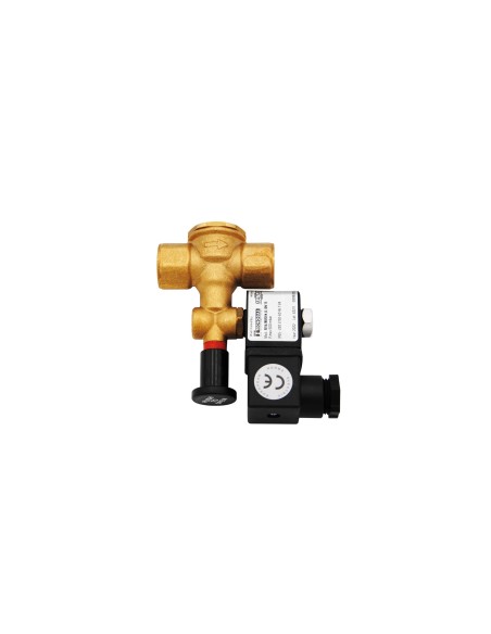 ELETTROVALVOLA GAS 3/4 NA 220